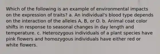 Which of the following is an example of environmental impacts on the expression of traits? a. An individual's blood type depends on the interaction of the alleles A, B, or O. b. Animal coat color shifts in response to seasonal changes in day length and temperature. c. Heterozygous individuals of a plant species have pink flowers and homozygous individuals have either red or white flowers.