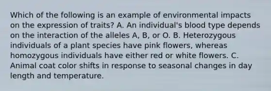 Which of the following is an example of environmental impacts on the expression of traits? A. An individual's blood type depends on the interaction of the alleles A, B, or O. B. Heterozygous individuals of a plant species have pink flowers, whereas homozygous individuals have either red or white flowers. C. Animal coat color shifts in response to seasonal changes in day length and temperature.