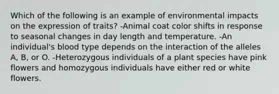 Which of the following is an example of environmental impacts on the expression of traits? -Animal coat color shifts in response to seasonal changes in day length and temperature. -An individual's blood type depends on the interaction of the alleles A, B, or O. -Heterozygous individuals of a plant species have pink flowers and homozygous individuals have either red or white flowers.