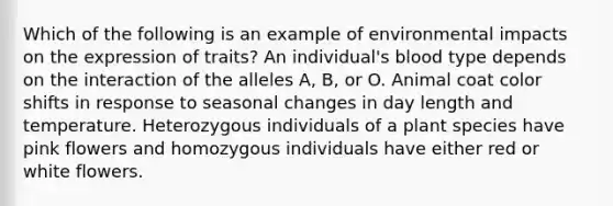 Which of the following is an example of environmental impacts on the expression of traits? An individual's blood type depends on the interaction of the alleles A, B, or O. Animal coat color shifts in response to seasonal changes in day length and temperature. Heterozygous individuals of a plant species have pink flowers and homozygous individuals have either red or white flowers.