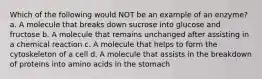 Which of the following would NOT be an example of an enzyme? a. A molecule that breaks down sucrose into glucose and fructose b. A molecule that remains unchanged after assisting in a chemical reaction c. A molecule that helps to form the cytoskeleton of a cell d. A molecule that assists in the breakdown of proteins into amino acids in the stomach