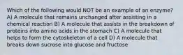 Which of the following would NOT be an example of an enzyme? A) A molecule that remains unchanged after assisting in a chemical reaction B) A molecule that assists in the breakdown of proteins into amino acids in the stomach C) A molecule that helps to form the cytoskeleton of a cell D) A molecule that breaks down sucrose into glucose and fructose