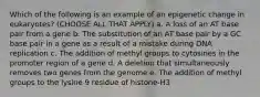 Which of the following is an example of an epigenetic change in eukaryotes? (CHOOSE ALL THAT APPLY) a. A loss of an AT base pair from a gene b. The substitution of an AT base pair by a GC base pair in a gene as a result of a mistake during DNA replication c. The addition of methyl groups to cytosines in the promoter region of a gene d. A deletion that simultaneously removes two genes from the genome e. The addition of methyl groups to the lysine 9 residue of histone-H3