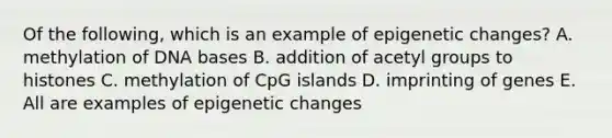 Of the following, which is an example of epigenetic changes? A. methylation of DNA bases B. addition of acetyl groups to histones C. methylation of CpG islands D. imprinting of genes E. All are examples of epigenetic changes