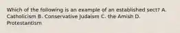 Which of the following is an example of an established sect? A. Catholicism B. Conservative Judaism C. the Amish D. Protestantism