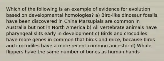 Which of the following is an example of evidence for evolution based on developmental homologies? a) Bird-like dinosaur fossils have been discovered in China Marsupials are common in Australia but not in North America b) All vertebrate animals have pharyngeal slits early in development c) Birds and crocodiles have more genes in common that birds and mice, because birds and crocodiles have a more recent common ancestor d) Whale flippers have the same number of bones as human hands