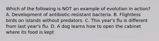 Which of the following is NOT an example of evolution in action? A. Development of antibiotic-resistant bacteria. B. Flightless birds on islands without predators. C. This year's flu is different from last year's flu. D. A dog learns how to open the cabinet where its food is kept