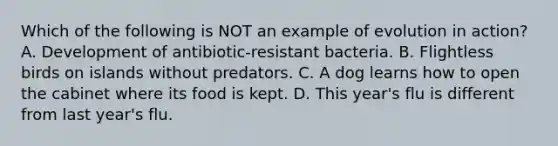 Which of the following is NOT an example of evolution in action? A. Development of antibiotic-resistant bacteria. B. Flightless birds on islands without predators. C. A dog learns how to open the cabinet where its food is kept. D. This year's flu is different from last year's flu.