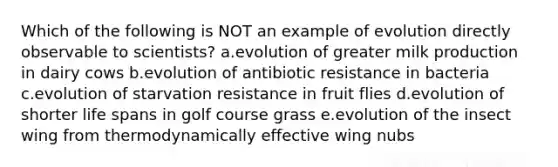 Which of the following is NOT an example of evolution directly observable to scientists? a.evolution of greater milk production in dairy cows b.evolution of antibiotic resistance in bacteria c.evolution of starvation resistance in fruit flies d.evolution of shorter life spans in golf course grass e.evolution of the insect wing from thermodynamically effective wing nubs