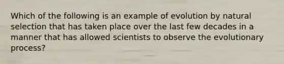 Which of the following is an example of evolution by natural selection that has taken place over the last few decades in a manner that has allowed scientists to observe the evolutionary process?