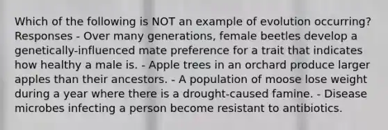 Which of the following is NOT an example of evolution occurring? Responses - Over many generations, female beetles develop a genetically-influenced mate preference for a trait that indicates how healthy a male is. - Apple trees in an orchard produce larger apples than their ancestors. - A population of moose lose weight during a year where there is a drought-caused famine. - Disease microbes infecting a person become resistant to antibiotics.