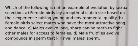 Which of the following is not an example of evolution by sexual selection. a) Female birds lay an optimal clutch size based on their experience raising young and environmental quality. b) Female birds select mates who have the most attractive song and dance. c) Males evolve long, sharp canine teeth to fight other males for access to females. d) Male fruitflies evolve compounds in sperm that kill rival males' sperm.