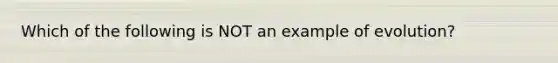 Which of the following is NOT an example of evolution?