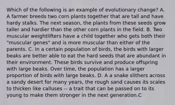 Which of the following is an example of evolutionary change? A. A farmer breeds two corn plants together that are tall and have hardy stalks. The next season, the plants from these seeds grow taller and hardier than the other corn plants in the field. B. Two muscular weightlifters have a child together who gets both their "muscular genes" and is more muscular than either of the parents. C. In a certain population of birds, the birds with larger beaks are better able to eat the hard seeds that are abundant in their environment. These birds survive and produce offspring with large beaks. Over time, the population has a larger proportion of birds with large beaks. D. A a snake slithers across a sandy desert for many years, the rough sand causes its scales to thicken like calluses -- a trait that can be passed on to its young to make them stronger in the next generation.C