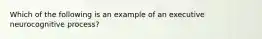 Which of the following is an example of an executive neurocognitive process?