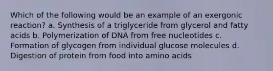 Which of the following would be an example of an exergonic reaction? a. Synthesis of a triglyceride from glycerol and fatty acids b. Polymerization of DNA from free nucleotides c. Formation of glycogen from individual glucose molecules d. Digestion of protein from food into amino acids