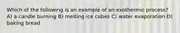 Which of the following is an example of an exothermic process? A) a candle burning B) melting ice cubes C) water evaporation D) baking bread