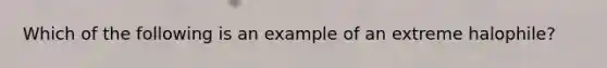 Which of the following is an example of an extreme halophile?