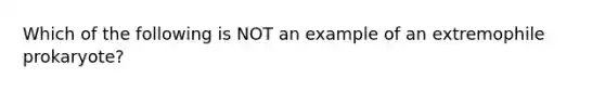 Which of the following is NOT an example of an extremophile prokaryote?