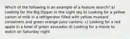 Which of the following is an example of a feature search? a) Looking for the Big Dipper in the night sky b) Looking for a yellow carton of milk in a refrigerator filled with yellow mustard containers and green orange juice cartons. c) Looking for a red apple in a bowl of green avocados d) Looking for a movie to watch on Saturday night