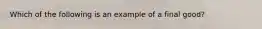 Which of the following is an example of a final good?