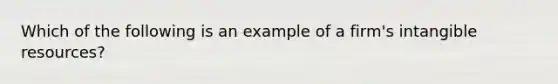 Which of the following is an example of a firm's intangible resources?