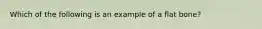 Which of the following is an example of a flat bone?