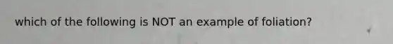 which of the following is NOT an example of foliation?