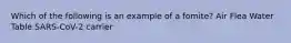 Which of the following is an example of a fomite? Air Flea Water Table SARS-CoV-2 carrier