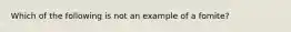 Which of the following is not an example of a fomite?