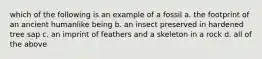 which of the following is an example of a fossil a. the footprint of an ancient humanlike being b. an insect preserved in hardened tree sap c. an imprint of feathers and a skeleton in a rock d. all of the above