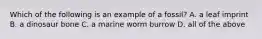 Which of the following is an example of a fossil? A. a leaf imprint B. a dinosaur bone C. a marine worm burrow D. all of the above