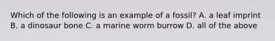 Which of the following is an example of a fossil? A. a leaf imprint B. a dinosaur bone C. a marine worm burrow D. all of the above