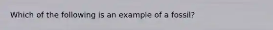 Which of the following is an example of a fossil?
