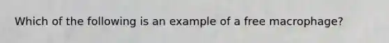 Which of the following is an example of a free macrophage?