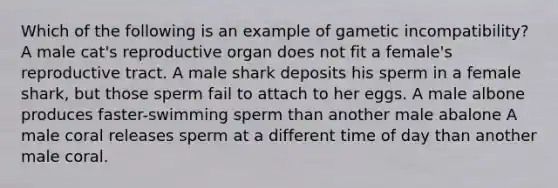 Which of the following is an example of gametic incompatibility? A male cat's reproductive organ does not fit a female's reproductive tract. A male shark deposits his sperm in a female shark, but those sperm fail to attach to her eggs. A male albone produces faster-swimming sperm than another male abalone A male coral releases sperm at a different time of day than another male coral.