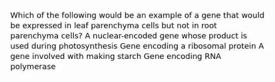 Which of the following would be an example of a gene that would be expressed in leaf parenchyma cells but not in root parenchyma cells? A nuclear-encoded gene whose product is used during photosynthesis Gene encoding a ribosomal protein A gene involved with making starch Gene encoding RNA polymerase