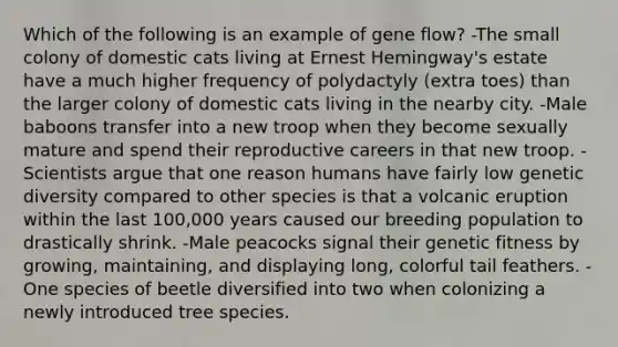 Which of the following is an example of gene flow? -The small colony of domestic cats living at Ernest Hemingway's estate have a much higher frequency of polydactyly (extra toes) than the larger colony of domestic cats living in the nearby city. -Male baboons transfer into a new troop when they become sexually mature and spend their reproductive careers in that new troop. -Scientists argue that one reason humans have fairly low genetic diversity compared to other species is that a volcanic eruption within the last 100,000 years caused our breeding population to drastically shrink. -Male peacocks signal their genetic fitness by growing, maintaining, and displaying long, colorful tail feathers. -One species of beetle diversified into two when colonizing a newly introduced tree species.