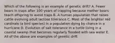 Which of the following is an example of genetic drift? A. Fewer bears in traps after 100 years of trapping because mother bears teach offspring to avoid traps B. A human population that raises cattle evolving adult lactose tolerance C. Most of the brighter red cardinals (a bird species) in a population dying by chance in a hurricane D. Evolution of salt tolerance in a turtle living in a coastal swamp that becomes regularly flooded with sea water E. All of the above are examples of genetic drift