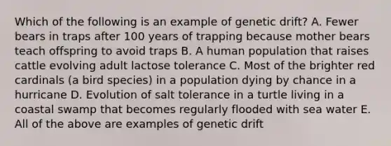 Which of the following is an example of genetic drift? A. Fewer bears in traps after 100 years of trapping because mother bears teach offspring to avoid traps B. A human population that raises cattle evolving adult lactose tolerance C. Most of the brighter red cardinals (a bird species) in a population dying by chance in a hurricane D. Evolution of salt tolerance in a turtle living in a coastal swamp that becomes regularly flooded with sea water E. All of the above are examples of genetic drift