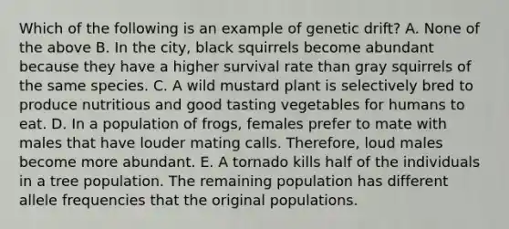 Which of the following is an example of genetic drift? A. None of the above B. In the city, black squirrels become abundant because they have a higher survival rate than gray squirrels of the same species. C. A wild mustard plant is selectively bred to produce nutritious and good tasting vegetables for humans to eat. D. In a population of frogs, females prefer to mate with males that have louder mating calls. Therefore, loud males become more abundant. E. A tornado kills half of the individuals in a tree population. The remaining population has different allele frequencies that the original populations.