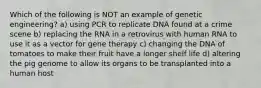 Which of the following is NOT an example of genetic engineering? a) using PCR to replicate DNA found at a crime scene b) replacing the RNA in a retrovirus with human RNA to use it as a vector for gene therapy c) changing the DNA of tomatoes to make their fruit have a longer shelf life d) altering the pig genome to allow its organs to be transplanted into a human host