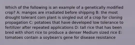 Which of the following is an example of a genetically modified crop? A: mangos are irradiated before shipping B: the most drought tolerant corn plant is singled out of a crop for cloning propagation C: potatoes that have developed low tolerance to fertilizer after repeated applications D: tall rice that has been bred with short rice to produce a denser Medium sized rice E: tomatoes contain a soybean's gene for disease resistance