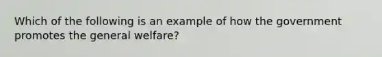 Which of the following is an example of how the government promotes the general welfare?