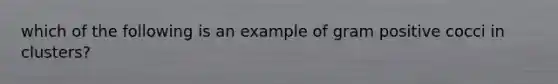 which of the following is an example of gram positive cocci in clusters?