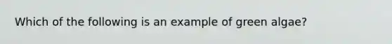 Which of the following is an example of green algae?