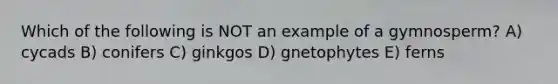 Which of the following is NOT an example of a gymnosperm? A) cycads B) conifers C) ginkgos D) gnetophytes E) ferns