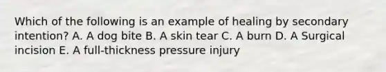 Which of the following is an example of healing by secondary intention? A. A dog bite B. A skin tear C. A burn D. A Surgical incision E. A full-thickness pressure injury