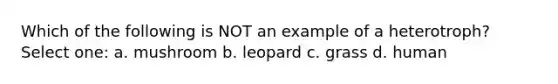 Which of the following is NOT an example of a heterotroph? Select one: a. mushroom b. leopard c. grass d. human