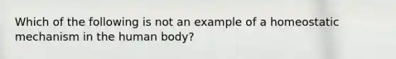 Which of the following is not an example of a homeostatic mechanism in the human body?